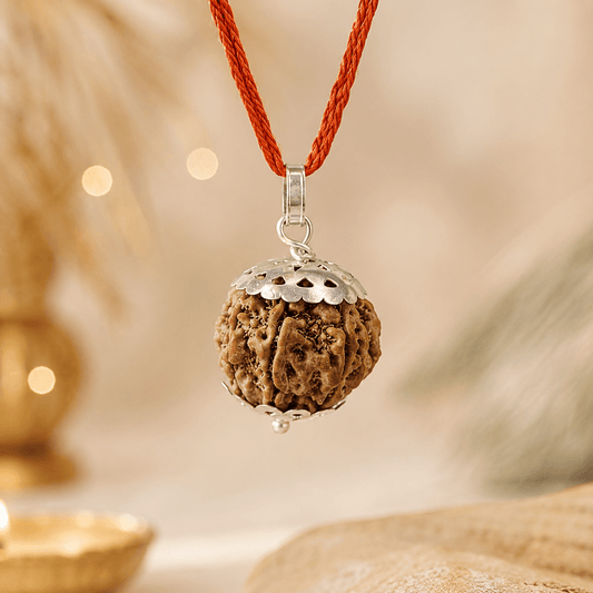 7 Mukhi Nepali Rudraksha Pendant (Attracts wealth)