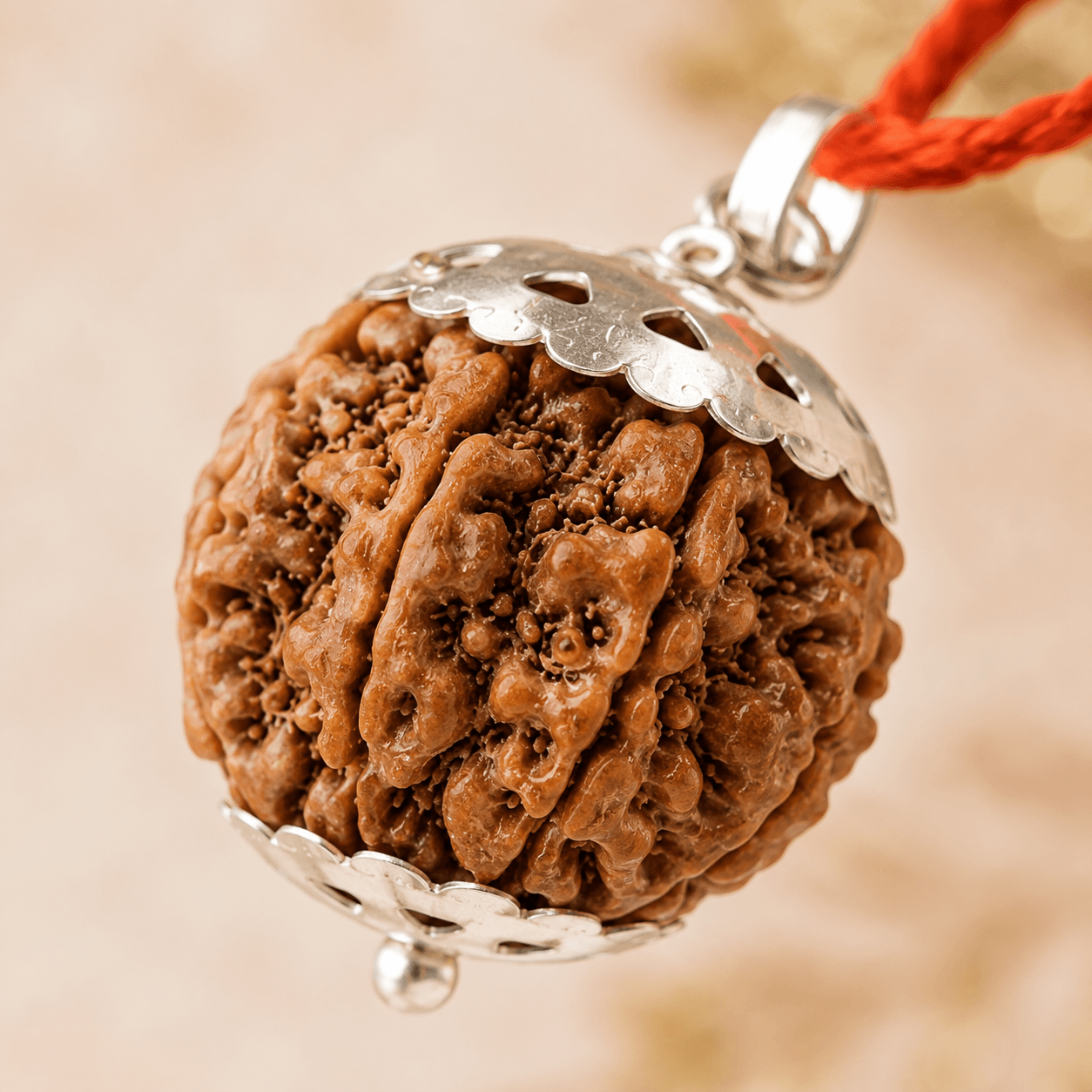7 Mukhi Nepali Rudraksha Pendant (Attracts wealth)